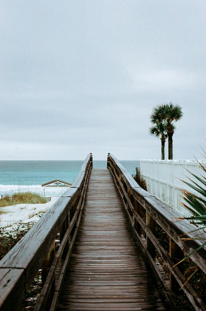 A wooden walkway leading to the beach next to a palm tree